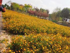 -歌斐颂巧克力小镇