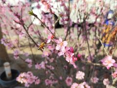 -库木塔格沙漠