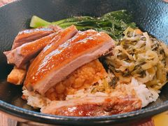 -MR鹅外