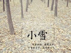 -汉景帝阳陵博物院