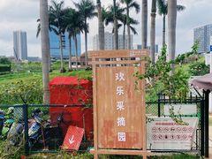 -光明小镇欢乐田园