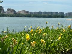 -西山漾湿地公园