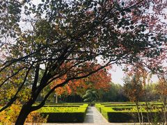 -洛阳市隋唐城遗址植物园