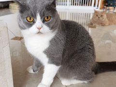 -Catmate·猫肥家润(金润铂宫店)