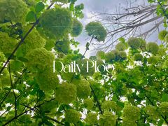 -大龙山(地铁站)