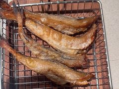 -丰茂烤串(五道口店)