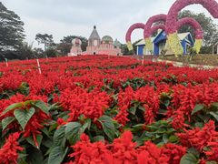 -松山湖梦幻百花洲