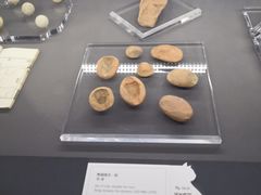 -上海观复博物馆