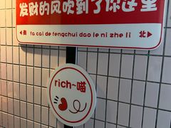 -有喵·猫咖·狗咖·30几只猫10只小狗(岗厦店)