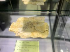-房山世界地质公园博物馆