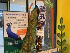 -浙江自然博物院(杭州馆)