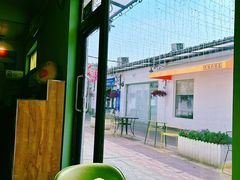 -油梨树AVOCADO TREE(顺义新国展店)