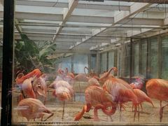 -石家庄市动物园