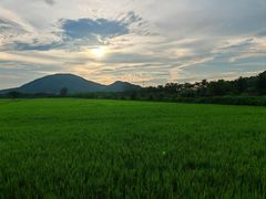 -风云岭森林公园