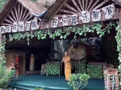 -西双版纳原始森林公园
