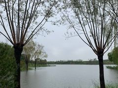 -东郊湿地公园