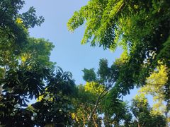 -海口观澜湖火山温泉谷