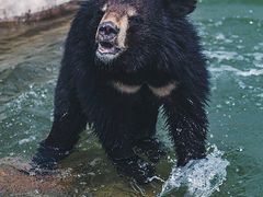 -济南野生动物世界