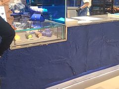 -the Roll'ING手作瑞士卷专门店(卓悦中心店)