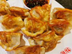 -福苗小骆驼烧烤(大唐不夜城店)
