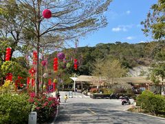 -广州白江湖森林公园