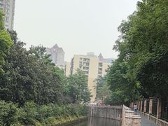 -重庆彩云湖湿地公园