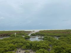 -北海金海湾红树林生态旅游区