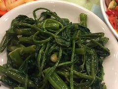 -曾牛肉