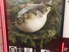 -玄品河豚(那覇國際通里之関)