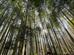 -明月山风景名胜区
