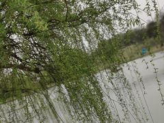 -钟山体育运动公园