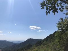 -大岭沟猕猴桃谷风景区