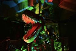 -恐龙探索乐园(磁器口店)