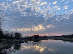 -贡湖湾湿地公园