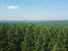 -塞罕坝国家级自然保护区