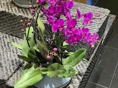 -黔蘑菇四季餐厅(观山湖店)