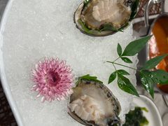 -田园肥牛鲍鱼先生(新北店)