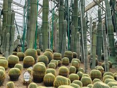 -南山植物园