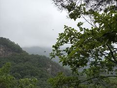 -五女峰国家森林公园