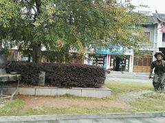 -溪口-滕头旅游景区