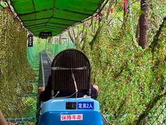 -富春桃源风景区