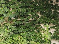 -溪畔•新徽菜(碧湖云溪店)
