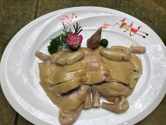 海南文昌鸡-渔民新村(番禺总店)