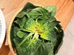 -巴奴毛肚火锅(龙湖锦艺城店)