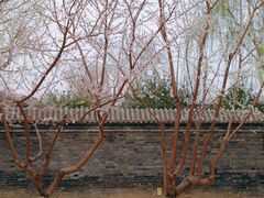 -三里河公园