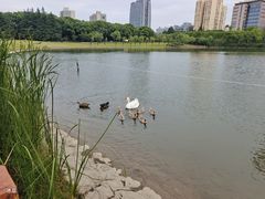 -黄兴公园