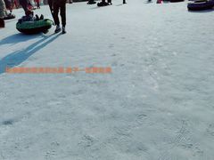 -绿野森林乐园冰雪季