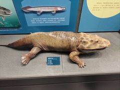 -国家自然博物馆