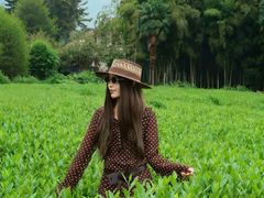 -帐篷客·溪龙茶谷度假酒店