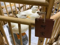 -馬蘭花開(车站大道店)